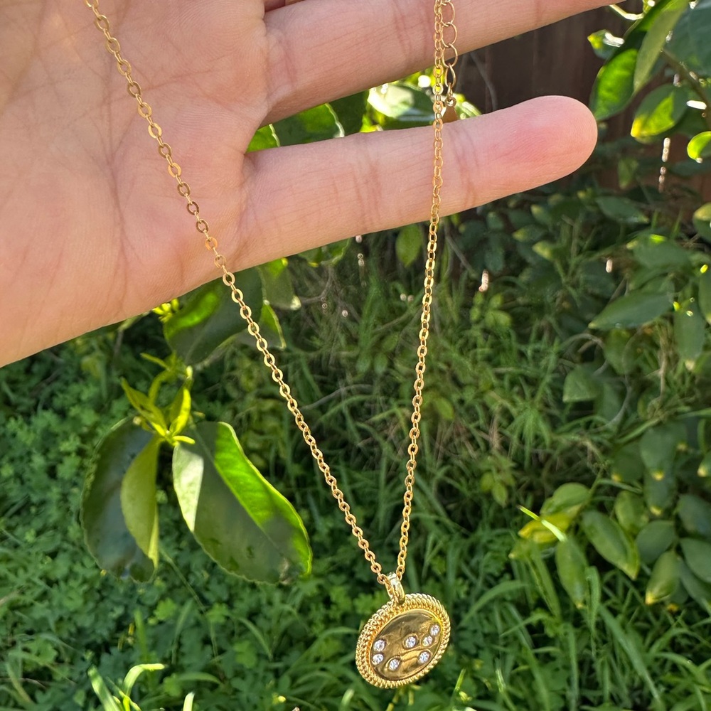 Constellation Gold Plated ✨ Necklace